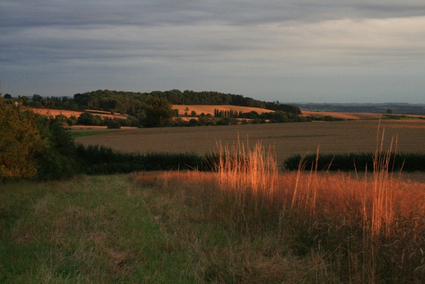 Photo 6"x4" Constitution Hill Dale Moor c2008