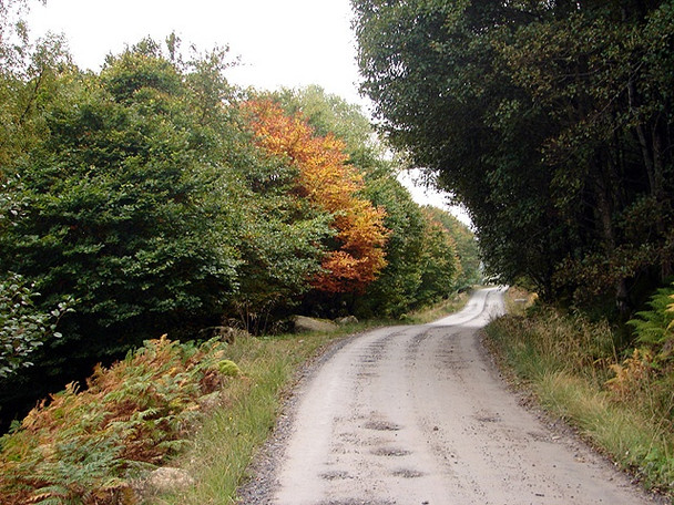 Photo 6"x4" Well maintained road on the Ben Alder estate Dalwhinnie c2006