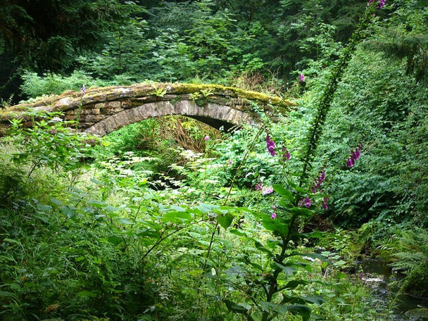 Photo 6"x4" Footbridge, Cragside Estate Knocklaw c2008