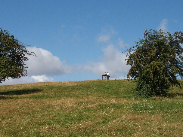 Photo 6"x4" View up Primrose Hill to viewpoint Camden Town c2008