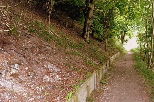 Photo 6"x4" Steep drop to the Thames Lower Basildon c2008