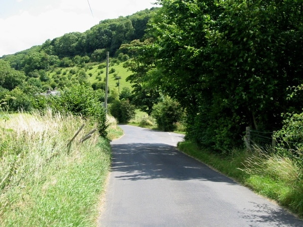 Photo 6"x4" View ESE to Elms Wood on West Down Church Hougham c2008