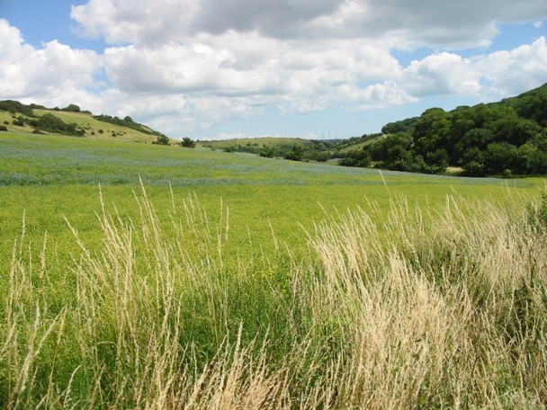 Photo 6"x4" View along the valley towards Dover Church Hougham c2008