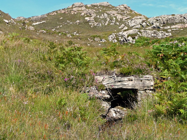 Photo 6"x4" Bridge on the path to Umachan Torran\/NG5949 c2008