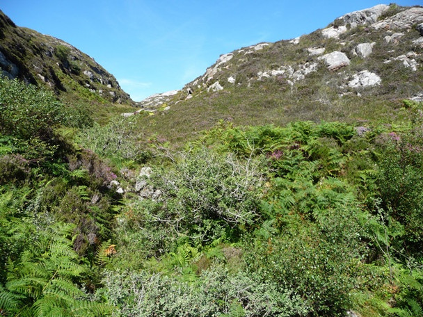 Photo 6"x4" Glen above Umachan Torran\/NG5949 c2008