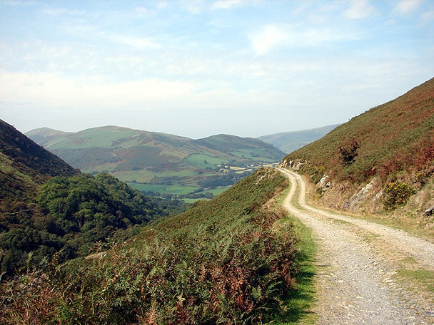 Photo 6"x4" Track above Nant Dol-g\u00c3\u00b4ch Dolgoch\/SH6504 c2006