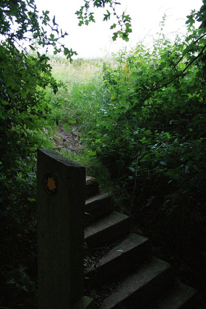 Photo 6"x4" Ascent Into Light Risley\/SK4635 c2008