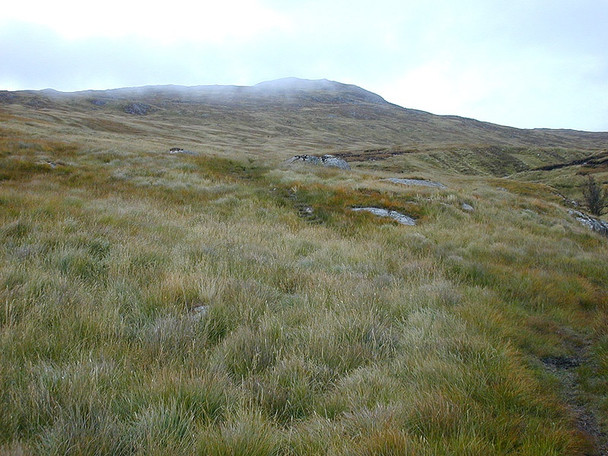 Photo 6"x4" South west slopes of Creag Pitridh Allt Coire Pitridh c2003
