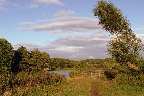 Photo 6"x4" Thames Path above Mapledurham Collins End c2008