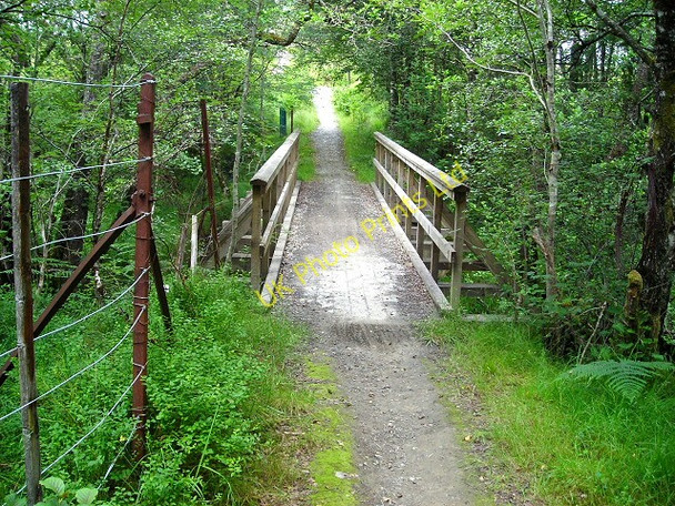 Photo 6"x4" Footbridge in Leanachan Forest Alltour c2007