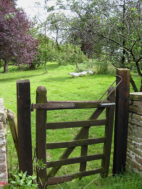 Photo 6"x4" Gateway to an orchard Bulley c2008