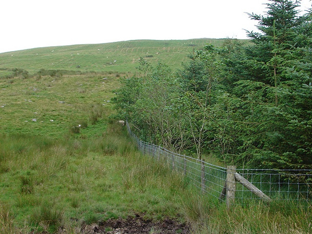 Photo 6"x4" Small forestry area near Lle'r-neuaddau Afor Rheidol c2008