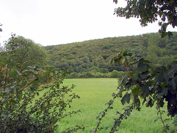 Photo 6"x4" Pasture in the Rheidol Valley Maes-bangor c2008