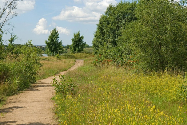 Photo 6"x4" Footpath at Wigan Flashes Ince in Makerfield c2005
