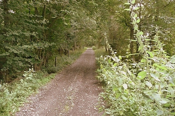 Photo 6"x4" Chalky Lane Curridge c2008