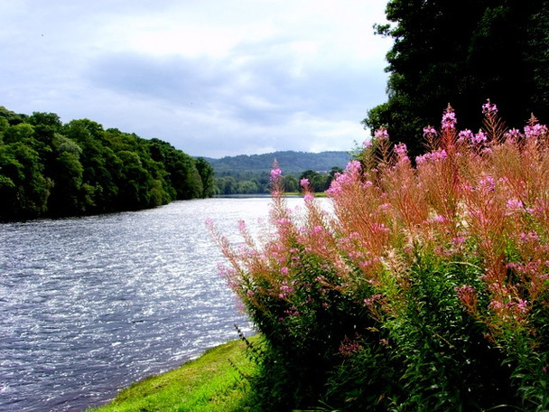 Photo 6"x4" River Beauly,  looking upstream Balblair\/NH5045 c2008