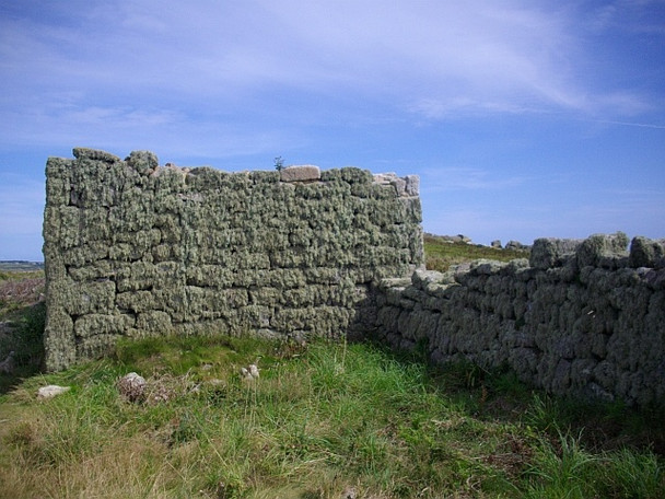 Photo 6"x4" Lichen covered wall, South Hill, Samson Pool\/SV8714 c2008