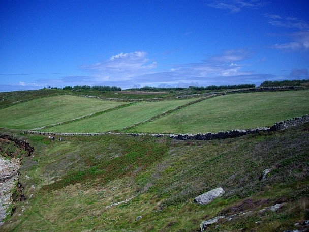 Photo 6"x4" Three small fields near Stony Porth, St. Mary's Hugh Town c2008