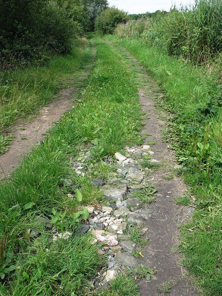 Photo 6"x4" Farm track to the River Thurne Damgate\/TG4519 c2008