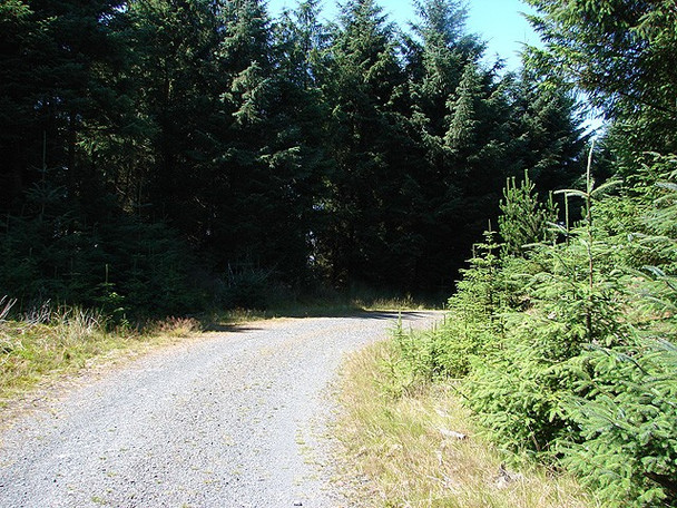 Photo 6"x4" Forestry road near Nant-y-moch Bwlchystyllen c2006
