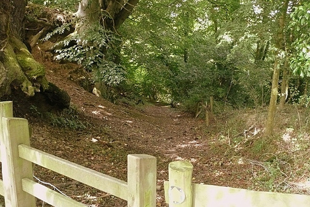 Photo 6"x4" Footpath above Usk Usk\/Brynbuga c2008