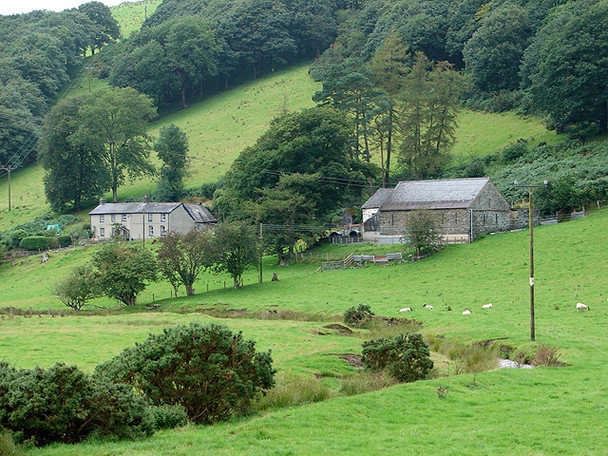 Photo 6"x4" Troed-y-rhiw farm Dollwen c2008