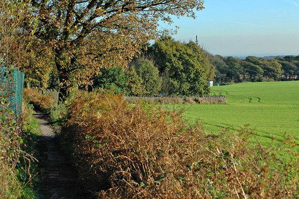 Photo 6"x4" Path from Billinge Hill to Beacon Road Billinge c2005