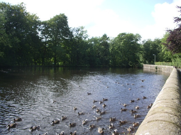 Photo 6"x4" Millpond, Kirk Mills Chipping\/SD6243 c2008