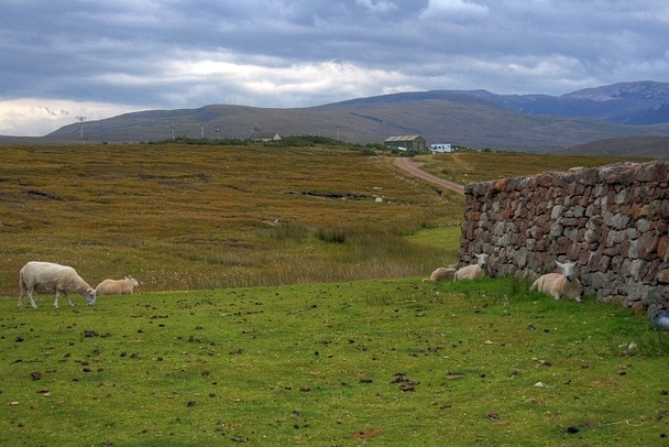 Photo 6"x4" Sheepfold at Badentarbat Bay Achiltibuie c2008