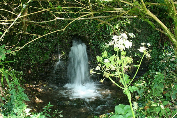 Photo 6"x4" Camelford: stream in churchyard Lanteglos c2008