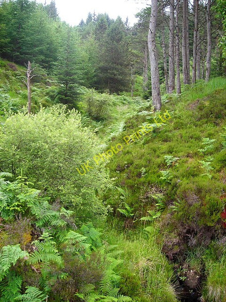 Photo 6"x4" Stream Course on Beinn Bhan Lochaline \/ Loch \u00c0lainn c2007