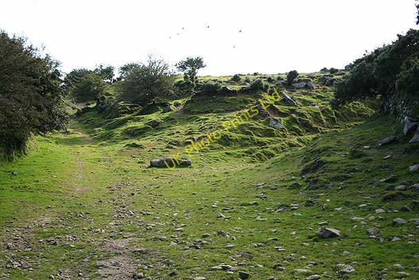 Photo 6"x4" Altarnun: bridleway by Carne Down South Carne c2007