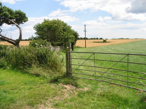 Photo 6"x4" View across fields Satmar c2008