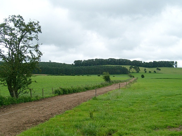 Photo 6"x4" Public footpath from Cotehill Farm Brampton\/NY5261 c2008