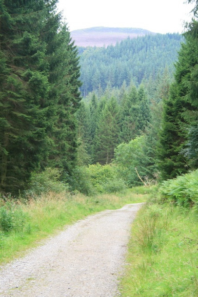 Photo 6"x4" Ladybower-side track Edale End c2008