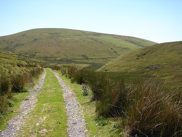 Photo 6"x4" Track in Cwm-llwyd Friog\/SH6112 c2006