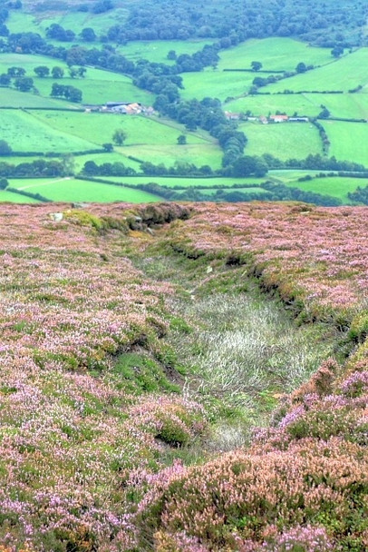 Photo 6"x4" Sunken Track into Farndale Low Mill\/SE6795 c2008