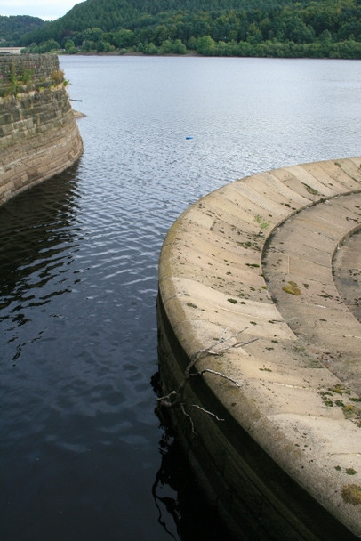 Photo 6"x4" Spider Branch Ashopton c2008