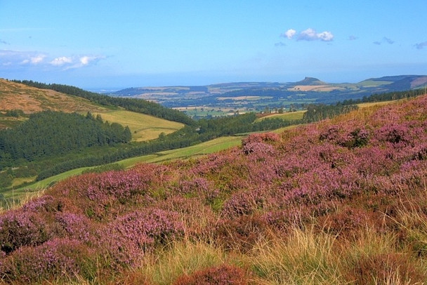 Photo 6"x4" Roseberry Topping from Urra Moor Urra c2008