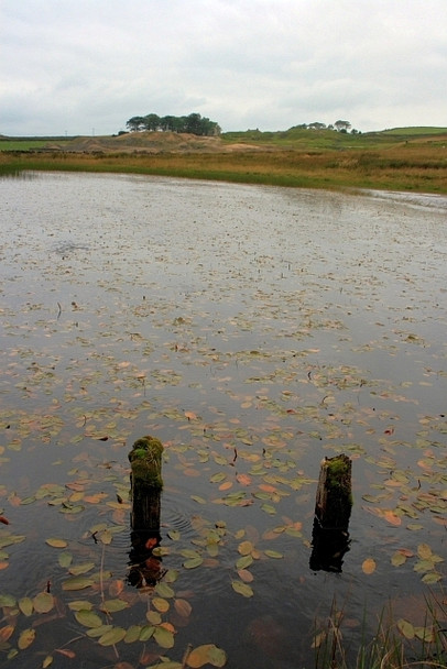 Photo 6"x4" Beever Reservoir Grassington c2008