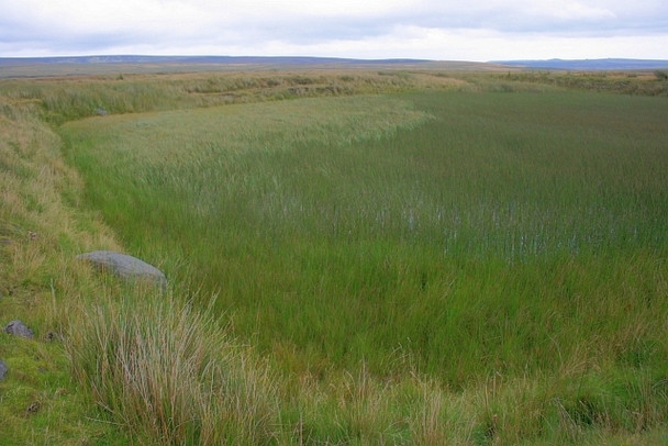 Photo 6"x4" Silted up Reservoir Hebden c2008