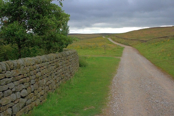 Photo 6"x4" Track Over Grimwith Fell Skyreholme c2008