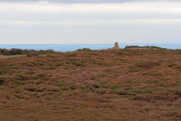 Photo 6"x4" Trig. Point Church Houses c2008