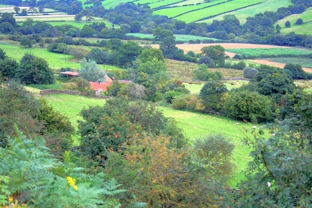 Photo 6"x4" Cross Farm Low Mill\/SE6795 c2008