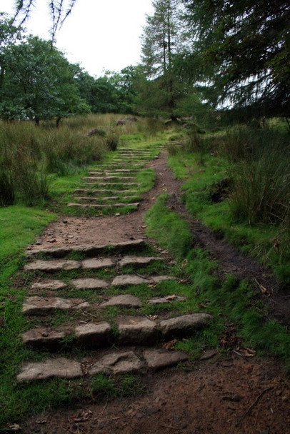 Photo 6"x4" Steps up Win Hill Ashopton c2008