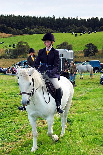 Photo 6"x4" The Horse Show in Lairg Lairg \/ An Luirg c2008