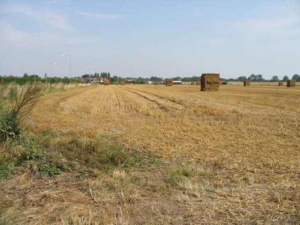 Photo 6"x4" Field on outskirts of Sandwich Sandwich c2008