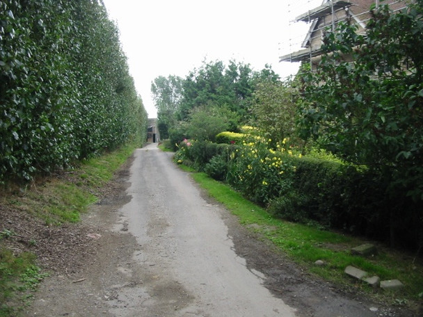 Photo 6"x4" View along Southern end of Pedding Lane Durlock\/TR2757 c2008