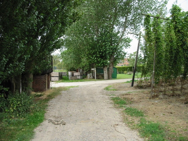 Photo 6"x4" Looking W along Footpath where it joins Pedding Lane Durlock\/TR2757 c2008