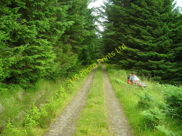 Photo 6"x4" Track in Fiunary Forest Lochaline \/ Loch \u00c0lainn c2007
